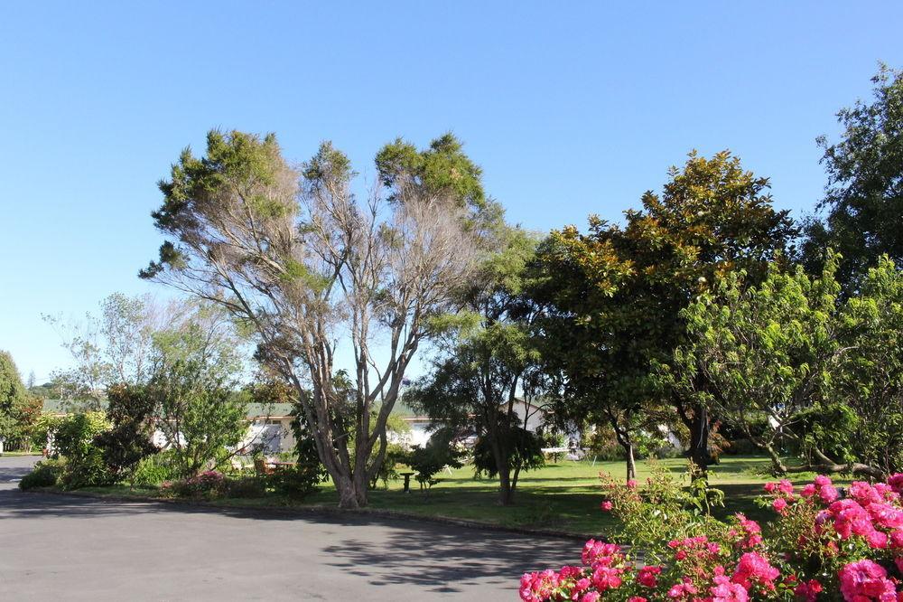 Astral Motel Whanganui Exteriér fotografie